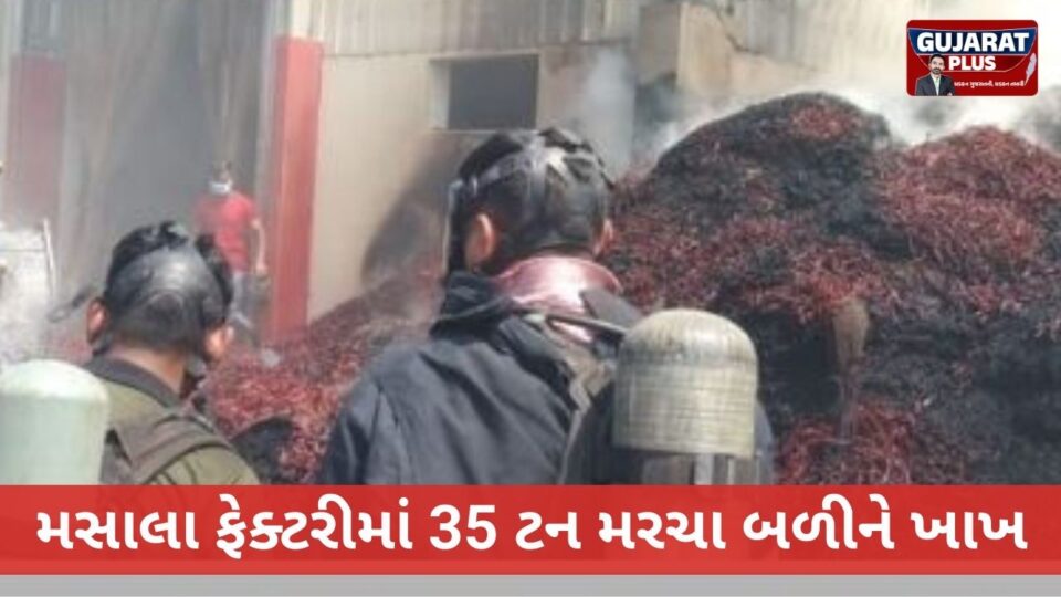 Jamnagar/ હાપામાં ભીષણ આગ: મસાલા ફેક્ટરીમાં 35 ટન મરચા બળીને ખાખ, આકાશમાં ધુમાડાના ગોટેગોટા!