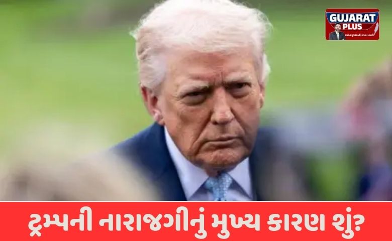 ડોનાલ્ડ ટ્રમ્પ ફરી નાટો પર ભડક્યા: ‘મુશ્કેલ સમયમાં કોઈ મદદ માટે ન આવ્યું,