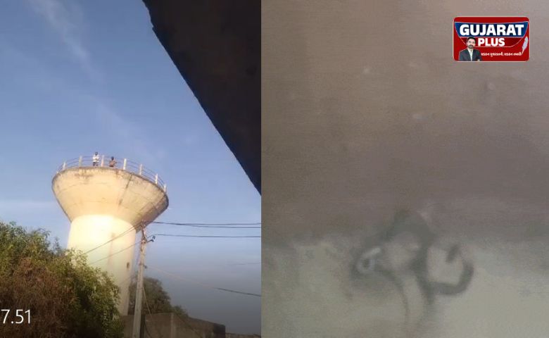 સાવધાન! ગાંધીનગરના મગોડીમાં પાણીની ટાંકી બની સાપોનો અડ્ડો: 1 મૃત, 5 જીવતા સાપ અને 3 ઘો નીકળતા ફફડાટ