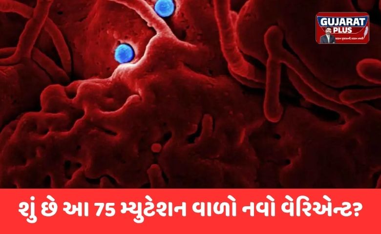 શું છે આ 75 મ્યુટેશન વાળો નવો વેરિએન્ટ?