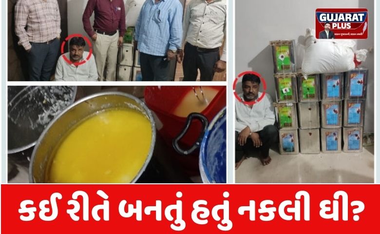સાવધાન! હિંમતનગરના રાયગઢમાં ઝડપાયું સફેદ પાવડરવાળું 'ઝેર' જેવું નકલી ઘી, 208 કિલો જથ્થો જપ્ત