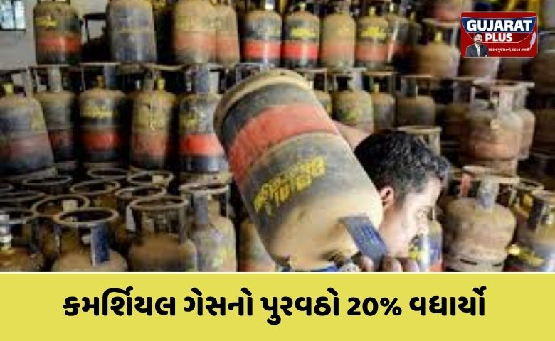 Energy Crisis: કેન્દ્ર સરકારનો મોટો નિર્ણય, કમર્શિયલ ગેસનો પુરવઠો 20% વધાર્યો