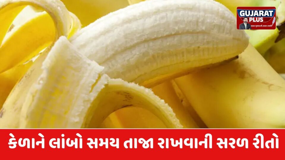 કેળા જલ્દી કાળા પડી જાય છે? અપનાવો આ 5 જાદુઈ ટિપ્સ, અઠવાડિયા સુધી રહેશે એકદમ ફ્રેશ