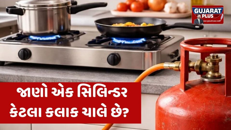 1 કલાક ગેસ ચાલુ રાખવાથી કેટલી LPG ખર્ચાય? 2 કે 3 બર્નર, કયો ચૂલો વાપરવો વધુ ફાયદાકારક?