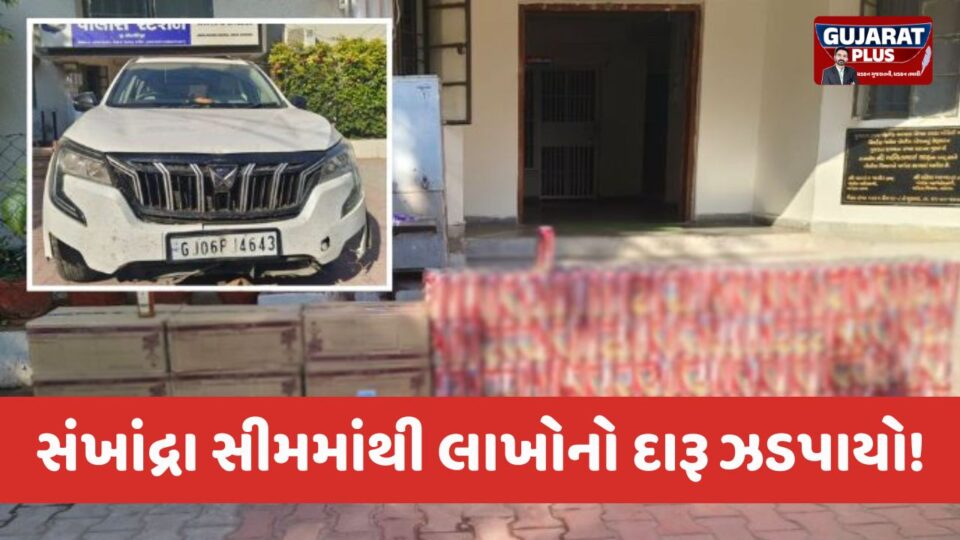 બોડેલી પોલીસની મોટી કાર્યવાહી, સંખાંદ્રા સીમમાંથી ₹10.56 લાખનો વિદેશી દારૂ ઝડપાયો