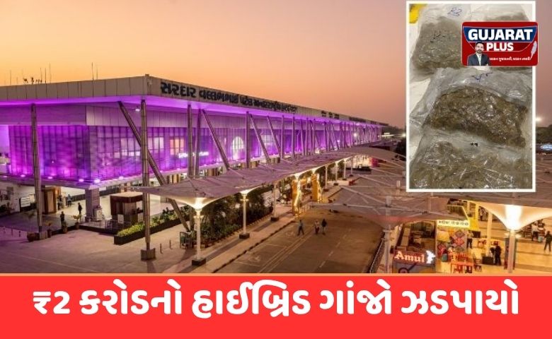 અમદાવાદ એરપોર્ટ પર DRIનો સપાટો: બેંગકોકથી લાવવામાં આવેલો ₹2 કરોડનો હાઈબ્રિડ ગાંજો ઝડપાયો