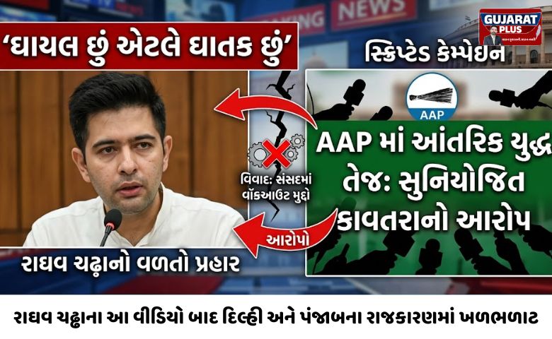 રાઘવ ચઢ્ઢાના આ વીડિયો બાદ દિલ્હી અને પંજાબના રાજકારણમાં ખળભળાટ