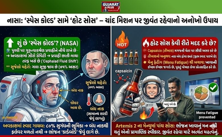 નાસા ના ચાર સભ્યોની ટીમ હાલમાં Artemis 2 મિશન હેઠળ 10 દિવસની ચાંદની સફરે છે. આ મિશનમાં અંતરિક્ષયાત્રીઓ 189 ખાદ્ય પદાર્થો સાથે લઈ ગયા છે, જેમાં હોટ સોસનો પણ સમાવેશ થાય છે. આ સોસ પાછળનું કારણ માનવ શરીર પર માઇક્રોગ્રેવિટીની થતી અસર છે. શું છે 'સ્પેસ કોલ્ડ' (Space Cold)?; નાસા પૃથ્વી પર ગુરુત્વાકર્ષણ લોહી અને અન્ય પ્રવાહીને નીચે તરફ ખેંચી રાખે છે. પરંતુ અવકાશમાં ઝીરો ગ્રેવિટી હોવાથી આ પ્રવાહી છાતી અને માથા તરફ ખસવા લાગે છે. આને વૈજ્ઞાનિક ભાષામાં 'Cephalad Fluid Shift' કહેવામાં આવે છે. સૂજેલો ચહેરો: પ્રવાહી ઉપર આવવાથી ગાલ સૂજી જાય છે. બંધ નાક: સાયનસમાં પ્રવાહી ભરાવાથી નાક બંધ થઈ જાય છે, જે સામાન્ય શરદી જેવું લાગે છે. 75% અસર: લગભગ 75% અવકાશયાત્રીઓને આ 'સ્પેસ કોલ્ડ'ની સમસ્યા થાય છે. અવકાશમાં ખોરાકનો સ્વાદ કેમ ગાયબ થઈ જાય છે? આપણને જે સ્વાદનો અનુભવ થાય છે, તેમાં 80% ભૂમિકા સુગંધની હોય છે. નાક બંધ હોવાને કારણે અંતરિક્ષયાત્રીઓને ભોજનનો સાચો ફ્લેવર મળતો નથી. પરિણામે, તેમને ગમે તેટલું સારું ભોજન પણ 'કાર્ડબોર્ડ' જેવું ફિક્કું લાગે છે. હોટ સોસ કેવી રીતે મદદ કરે છે? જ્યારે નાક બંધ હોય અને જીભ સ્વાદ પારખી ન શકતી હોય, ત્યારે હોટ સોસમાં રહેલું Capsaicin (તીખાશ આપતું તત્વ) કામ આવે છે. સીધી અસર: તીખાશ નાક પર આધાર રાખતી નથી. તે સીધું મગજની ચેતા (Trigeminal Nerve) પર અસર કરે છે. તીખાશનો અનુભવ: નાક બંધ હોવા છતાં અંતરિક્ષયાત્રીઓને તીખાશનો અનુભવ થાય છે, જે તેમને કંઈક ખાવાની ઈચ્છા જગાડે છે. મેનુ ફેટીગ (Menu Fatigue) થી બચાવ: જો ખોરાક સ્વાદહીન લાગે તો અવકાશયાત્રીઓ ધીમે-ધીમે ખાવાનું ઓછું કરી દે છે, જેનાથી નબળાઈ અને માનસિક થાક લાગે છે. હોટ સોસ તેમને પૂરતું પોષણ લેવા માટે પ્રોત્સાહિત કરે છે. Artemis 2ના મેન્યુમાં આ પાંચ સોસ જે છે એ સૌથી પ્રામાણિક પસંદગી છે. આ સોસ એ વસ્તુનો સ્વીકાર છે કે ભોજન ખાવામાં ભોજન જેવું નથી લાગતું, શરીર એને ખાવાનું બંધ કરી દે છે અને એ સમયે આ સોસ કામ આવે છે. આ સોસનો ઉપયોગ બસ એટલા માટે જ કરવામાં આવે છે. સ્પેસમાં આ જ સોસનું અસ્તિત્વ છે. 2026માં આ જે પાંચ બોટલ ચંદ્ર મિશન પર લઈ જવામાં આવી છે એ આ ભોજન ખાવાનું મન નથી થતું એનો જવાબ છે. અંદાજે 6 દાયકાના સમય બાદ પાંચ બોટલ એ એક જવાબ છે. આ ટીમ સ્વાદ માટે નહીં, પરંતુ જીવંત રહેવા માટે અને ખાવાનું ખાવાની ઇચ્છા થાય એ માટે ખૂબ જ મહત્ત્વની ભૂમિકા ભજવશે. આ વિશે દરેક સ્પેસ એજન્સી શોધ કરી રહી છે અને આગામી મિશનમાં એનો ઉકેલ આવી જાય એ પણ શક્ય છે. નાસા ના ચાર સભ્યોની ટીમ હાલમાં Artemis 2 મિશન હેઠળ 10 દિવસની ચાંદની સફરે છે. આ મિશનમાં અંતરિક્ષયાત્રીઓ 189 ખાદ્ય પદાર્થો સાથે લઈ ગયા છે, જેમાં હોટ સોસનો પણ સમાવેશ થાય છે. આ સોસ પાછળનું કારણ માનવ શરીર પર માઇક્રોગ્રેવિટીની થતી અસર છે. શું છે 'સ્પેસ કોલ્ડ' (Space Cold)?; નાસા પૃથ્વી પર ગુરુત્વાકર્ષણ લોહી અને અન્ય પ્રવાહીને નીચે તરફ ખેંચી રાખે છે. પરંતુ અવકાશમાં ઝીરો ગ્રેવિટી હોવાથી આ પ્રવાહી છાતી અને માથા તરફ ખસવા લાગે છે. આને વૈજ્ઞાનિક ભાષામાં 'Cephalad Fluid Shift' કહેવામાં આવે છે. સૂજેલો ચહેરો: પ્રવાહી ઉપર આવવાથી ગાલ સૂજી જાય છે. બંધ નાક: સાયનસમાં પ્રવાહી ભરાવાથી નાક બંધ થઈ જાય છે, જે સામાન્ય શરદી જેવું લાગે છે. 75% અસર: લગભગ 75% અવકાશયાત્રીઓને આ 'સ્પેસ કોલ્ડ'ની સમસ્યા થાય છે. અવકાશમાં ખોરાકનો સ્વાદ કેમ ગાયબ થઈ જાય છે? આપણને જે સ્વાદનો અનુભવ થાય છે, તેમાં 80% ભૂમિકા સુગંધની હોય છે. નાક બંધ હોવાને કારણે અંતરિક્ષયાત્રીઓને ભોજનનો સાચો ફ્લેવર મળતો નથી. પરિણામે, તેમને ગમે તેટલું સારું ભોજન પણ 'કાર્ડબોર્ડ' જેવું ફિક્કું લાગે છે. હોટ સોસ કેવી રીતે મદદ કરે છે? જ્યારે નાક બંધ હોય અને જીભ સ્વાદ પારખી ન શકતી હોય, ત્યારે હોટ સોસમાં રહેલું Capsaicin (તીખાશ આપતું તત્વ) કામ આવે છે. સીધી અસર: તીખાશ નાક પર આધાર રાખતી નથી. તે સીધું મગજની ચેતા (Trigeminal Nerve) પર અસર કરે છે. તીખાશનો અનુભવ: નાક બંધ હોવા છતાં અંતરિક્ષયાત્રીઓને તીખાશનો અનુભવ થાય છે, જે તેમને કંઈક ખાવાની ઈચ્છા જગાડે છે. મેનુ ફેટીગ (Menu Fatigue) થી બચાવ: જો ખોરાક સ્વાદહીન લાગે તો અવકાશયાત્રીઓ ધીમે-ધીમે ખાવાનું ઓછું કરી દે છે, જેનાથી નબળાઈ અને માનસિક થાક લાગે છે. હોટ સોસ તેમને પૂરતું પોષણ લેવા માટે પ્રોત્સાહિત કરે છે. Artemis 2ના મેન્યુમાં આ પાંચ સોસ જે છે એ સૌથી પ્રામાણિક પસંદગી છે. આ સોસ એ વસ્તુનો સ્વીકાર છે કે ભોજન ખાવામાં ભોજન જેવું નથી લાગતું, શરીર એને ખાવાનું બંધ કરી દે છે અને એ સમયે આ સોસ કામ આવે છે. આ સોસનો ઉપયોગ બસ એટલા માટે જ કરવામાં આવે છે. સ્પેસમાં આ જ સોસનું અસ્તિત્વ છે. 2026માં આ જે પાંચ બોટલ ચંદ્ર મિશન પર લઈ જવામાં આવી છે એ આ ભોજન ખાવાનું મન નથી થતું એનો જવાબ છે. અંદાજે 6 દાયકાના સમય બાદ પાંચ બોટલ એ એક જવાબ છે. આ ટીમ સ્વાદ માટે નહીં, પરંતુ જીવંત રહેવા માટે અને ખાવાનું ખાવાની ઇચ્છા થાય એ માટે ખૂબ જ મહત્ત્વની ભૂમિકા ભજવશે. આ વિશે દરેક સ્પેસ એજન્સી શોધ કરી રહી છે અને આગામી મિશનમાં એનો ઉકેલ આવી જાય એ પણ શક્ય છે.