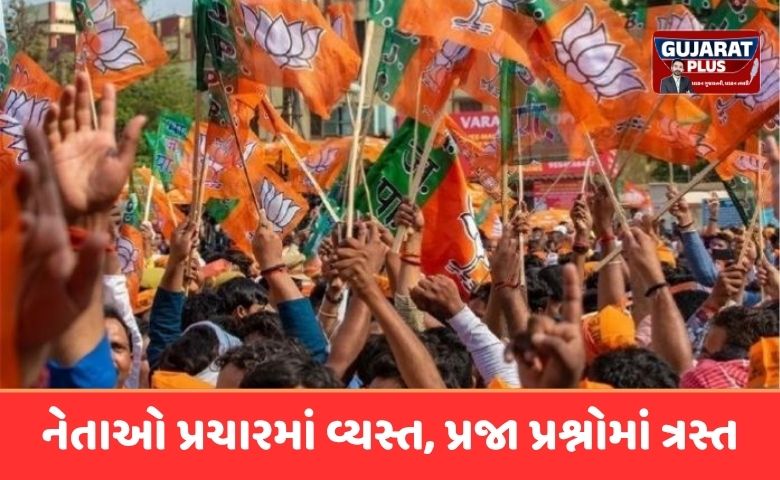 ભાજપ ની 'નો રિપીટ થિયરી' સામે સવાલ: પાલડીમાં 20 વર્ષથી એક જ પરિવારનું રાજ, કાર્યકરોમાં ભારે રોષ