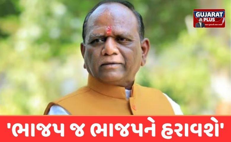 'ભાજપ જ ભાજપને હરાવશે', સ્થાનિક સ્વરાજની ચૂંટણી પહેલા સાંસદ મનસુખ વસાવાનું વિસ્ફોટક નિવેદન