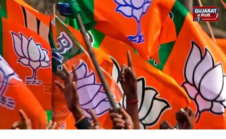 ગુજરાત સ્થાનિક સ્વરાજ્ય ચૂંટણી પરિણામ: તમામ 15 મનપામાં ભાજપનો ભગવો, નગરપાલિકાઓમાં પણ વિરોધ પક્ષોના સૂપડા સાફ