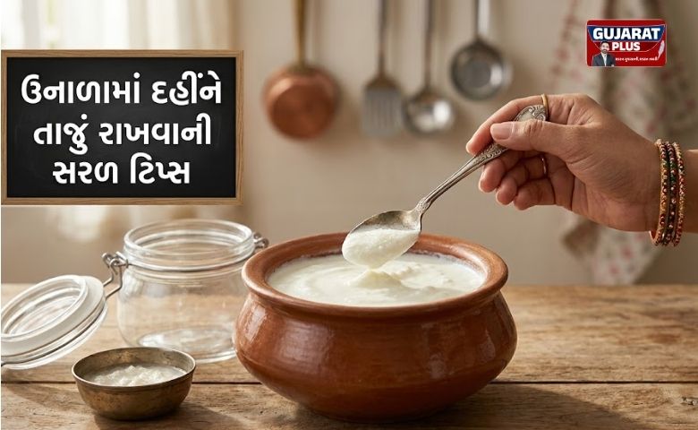 ઉનાળામાં દહીં જલ્દી ખાટું થઈ જાય છે? અપનાવો આ સરળ ટિપ્સ, દહીં લાંબા સમય સુધી રહેશે તાજું અને સ્વાદિષ્ટ