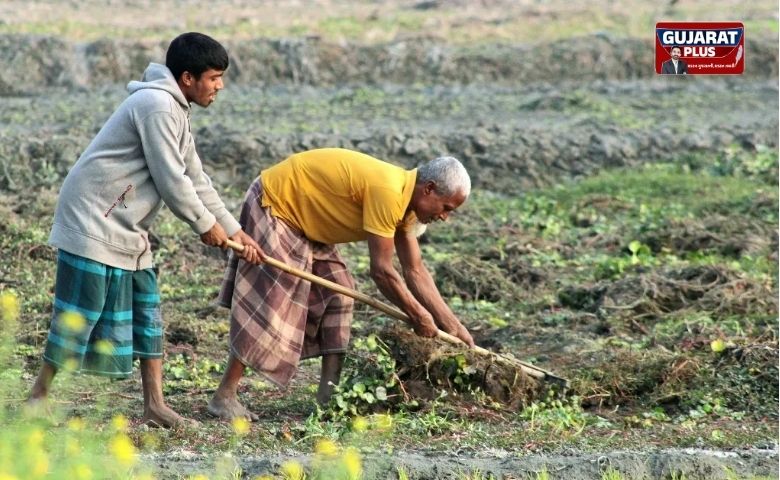 નહીંતર થઈ શકે છે મોટું નુકસાન!