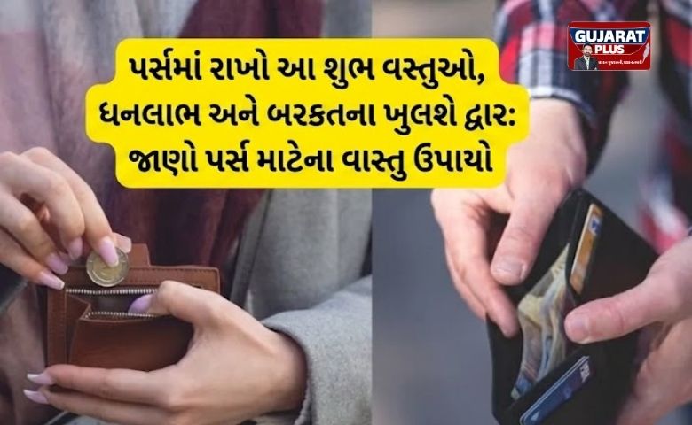 પર્સમાં રાખો આ શુભ વસ્તુઓ, ધનલાભ અને બરકતના ખુલશે દ્વાર: જાણો પર્સ માટેના વાસ્તુ ઉપાયો