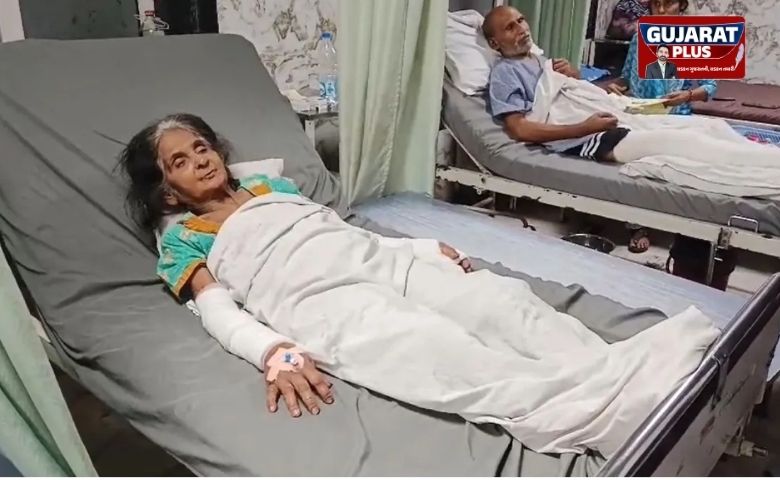 કાનપુર: 'ખૂની' પાલતુ કૂતરાનો આતંક, પહેલા દાદીને મારી નાખ્યા અને હવે માતાને બચકા ભરી કર્યા લોહીલુહાણ