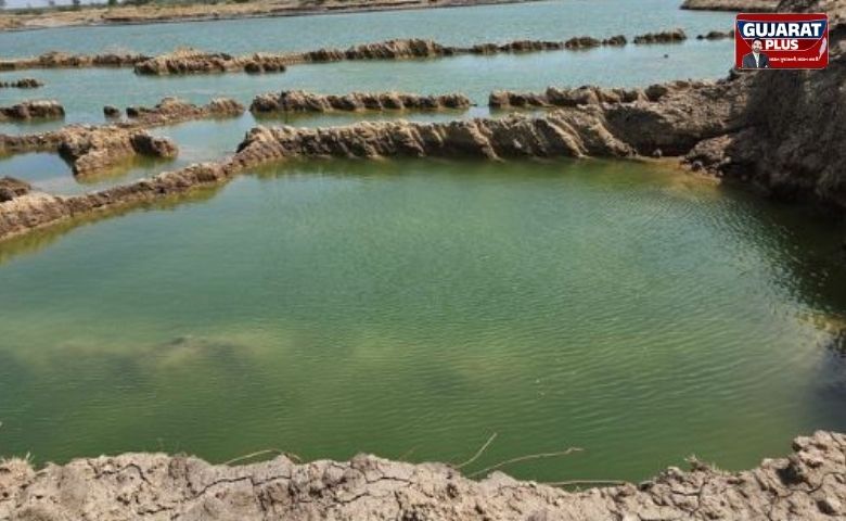 ધોળકા માં માટી માફિયાઓ બેફામ: ખેડૂતની જાણ બહાર 8 વીઘા જમીન ખોદી 50,000 ઘનમીટર માટીની ચોરી
