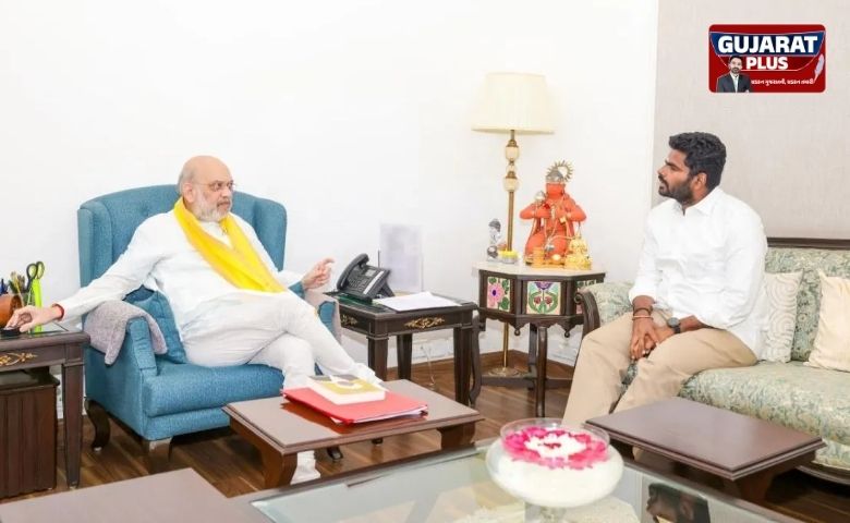 કે. અન્નામલાઈ એ ભાજપમાંથી આપ્યું રાજીનામું, નવી પાર્ટી બનાવવાની અટકળો વચ્ચે અમિત શાહને મળ્યા