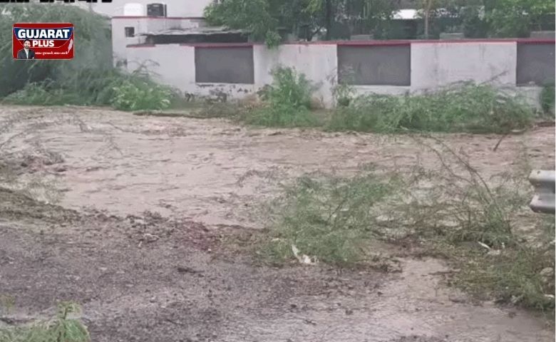 Gujarat Rain Update: અમરેલીના ખાંભા અને રાજુલામાં મેઘરાજાની તોફાની બેટિંગ. ધાતરવડી ડેમ-2 ઓવરફ્લો થયો છે, જ્યારે સાવરકુંડલા-મહુવા સ્ટેટ હાઈવે બંધ થતાં વાહનોની કતારો લાગી છે.
