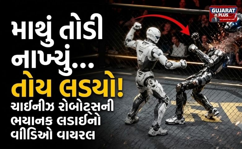 માથું કપાઈ ગયું છતાં લડતો રહ્યો રોબોટ! ચીનની આ રોબોટ ફાઇટનો વીડિયો જોઈ લોકો સ્તબ્ધ
