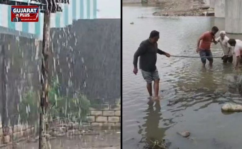 અમરેલી: જાફરાબાદ પંથકમાં ધોધમાર વરસાદ, લાઠીની ગાગડિયા નદીમાંથી વૃદ્ધનું સફળ રેસ્ક્યૂ