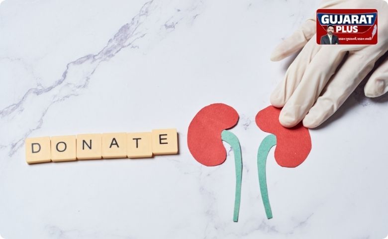 organ donation