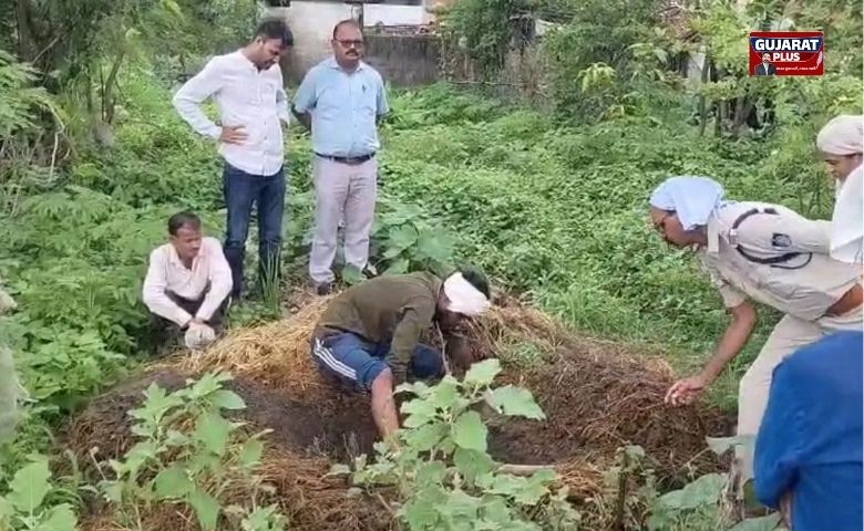 બાલઘાટમાં શરમજનક ઘટના: લોકલાજની બીકે નાનાએ નવજાત પૌત્રને ગોબરના ઢગલામાં જીવતો દાટી દીધો