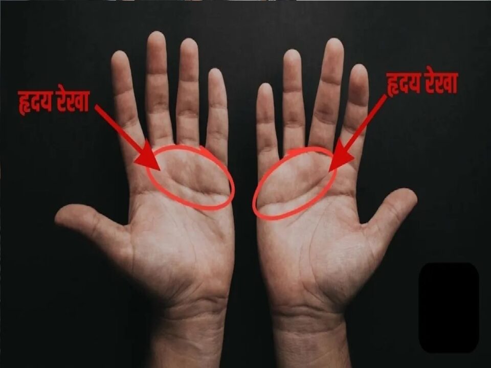 હથેળીની આ હૃદય રેખા માનવામાં આવે છે સૌથી શુભ, મળે છે મોટું પદ અને પ્રતિષ્ઠા! તરત ચેક કરો તમારો હાથ