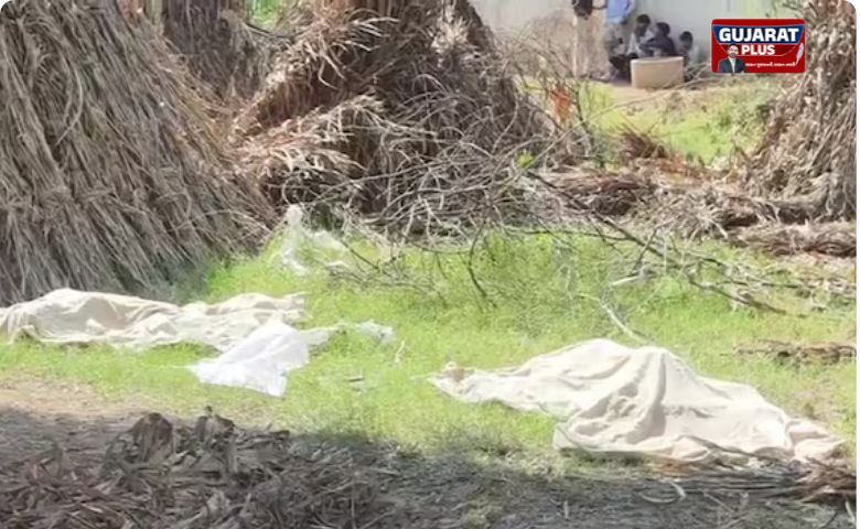 Rajasthan